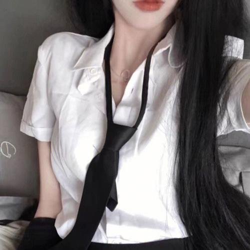 豹